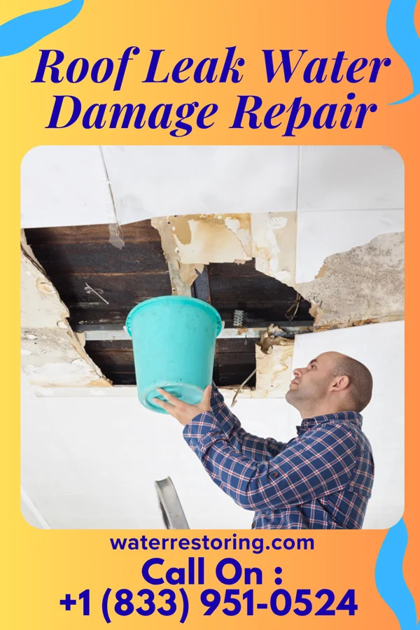 Roof Leak Water Damage Repair in Benson, NC